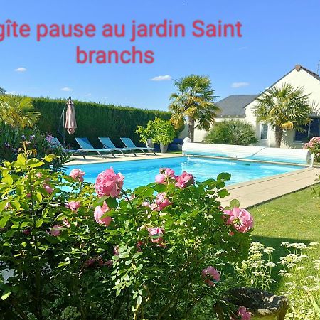 Gite Pause Au Jardin Piscine Chauffee Saint-Branchs Экстерьер фото