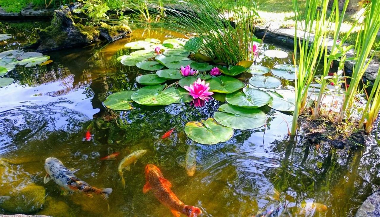 Gite Pause Au Jardin Piscine Chauffee Saint-Branchs Экстерьер фото