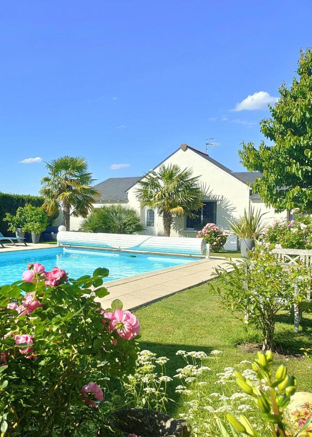 Gite Pause Au Jardin Piscine Chauffee Saint-Branchs Экстерьер фото