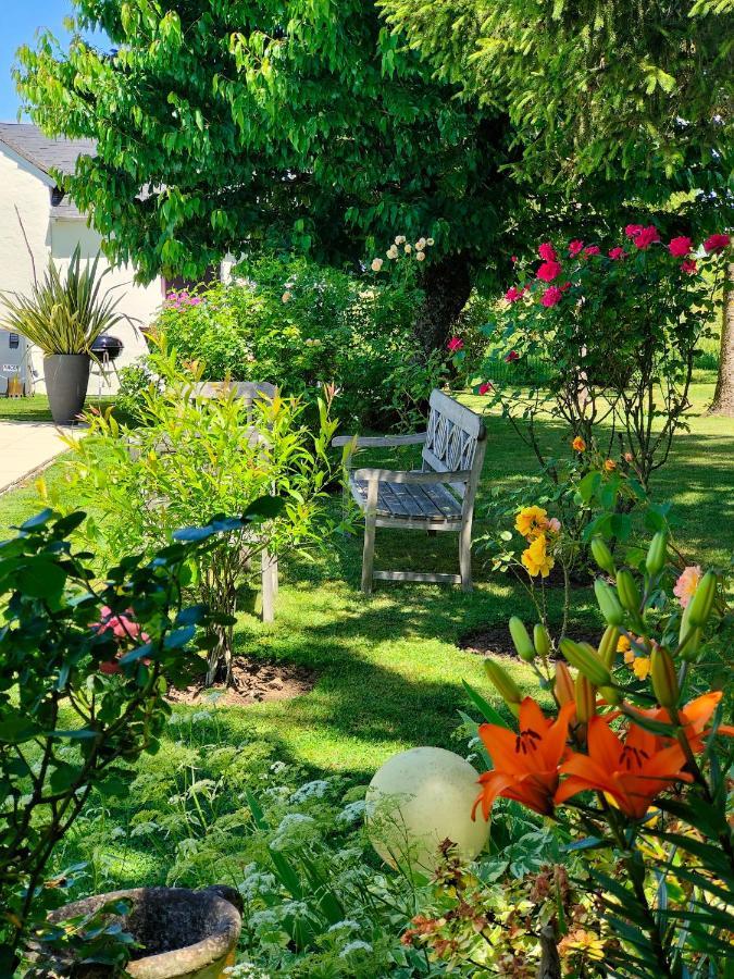 Gite Pause Au Jardin Piscine Chauffee Saint-Branchs Экстерьер фото